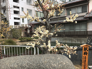 blog20180226-010