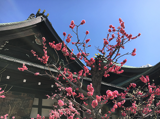 blog20180306-023