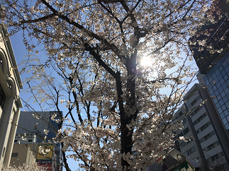 blog20180324-006