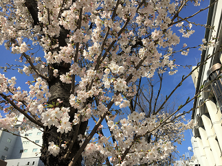 blog20180324-010