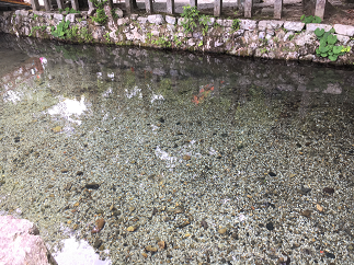 blog20180603-022