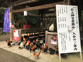 blog20190403-009