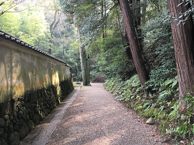 blog20190403-028