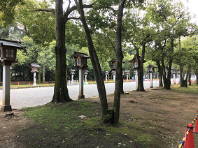 blog20190403-048