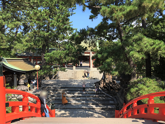 blog20190823-009