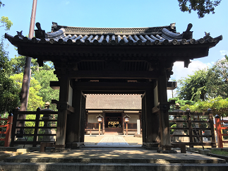 blog20190823-024