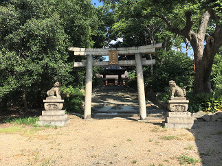 blog20190823-027